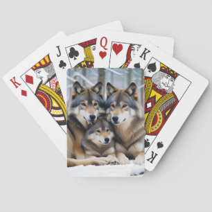 Varg Djurskydd vid viltvård Casinokort