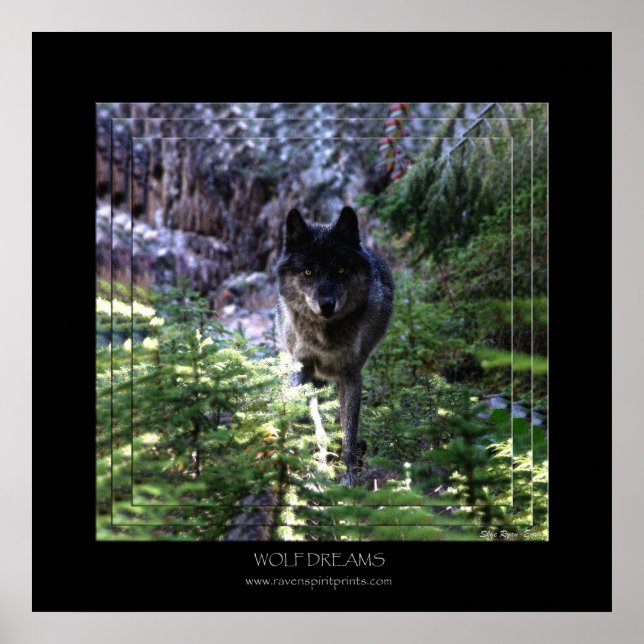 VARG DREAMS Art Poster (Framsidan)