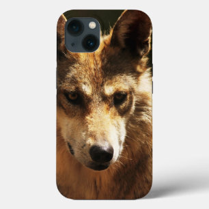 Varg eller Pet iPhone 13 Fodral