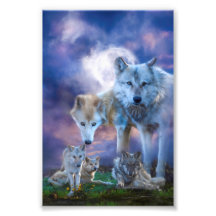 Varg Family BETTER WORLD