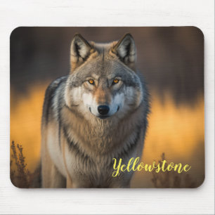 Varg för musslor med platta yellowstone musmatta