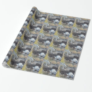 Varg Forest Nature Land Peace Kärlek Animal Presentpapper