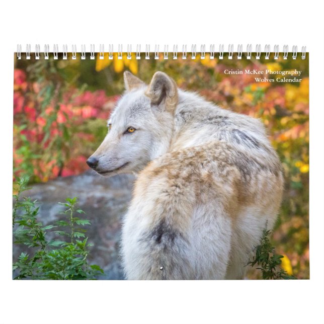 Varg Fotography Calendar Kalender (Omslag)