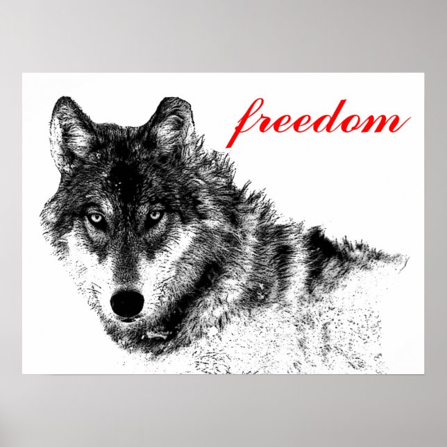 Varg Freedom Motivational Inspirational Poster (Framsidan)