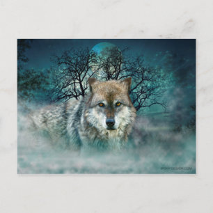 Varg full moon i Fog Vykort