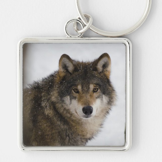 Varg Fyrkantig Silverfärgad Nyckelring (Framsidan)