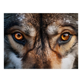 Varg Gaze Perfect Poster