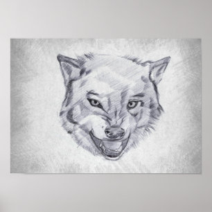 Varg - Grafisk ritning Poster