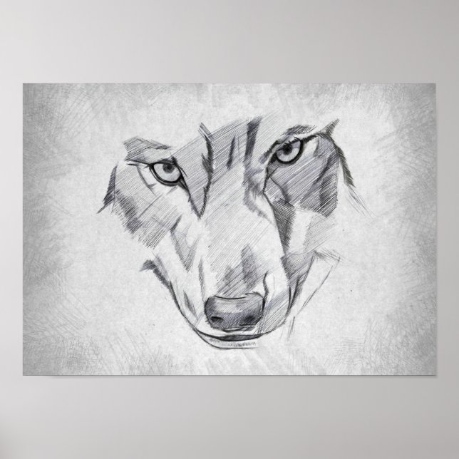 Varg - Grafisk ritning Poster (Framsidan)