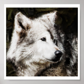 Varg Head Study Poster