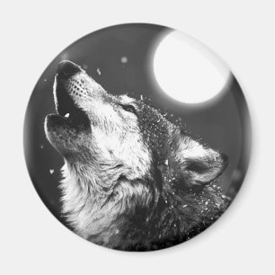 Varg Howling i Måne Magnet