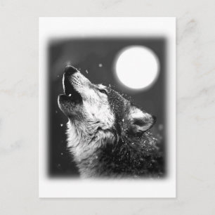 Varg Howling i Måne Vykort