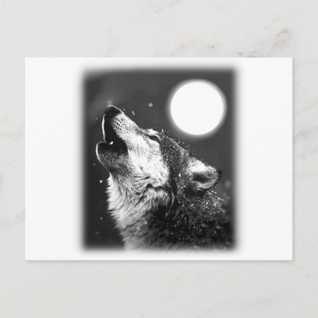 Varg Howling i Måne Vykort (Framsida)