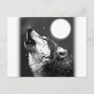 Varg Howling i Måne Vykort