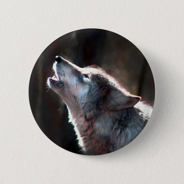 Varg Howling Lone Varg Knapp (Framsida)
