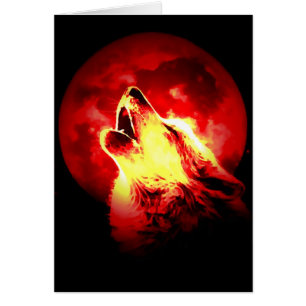 Varg Howling på Red Natt Card Hälsningskort