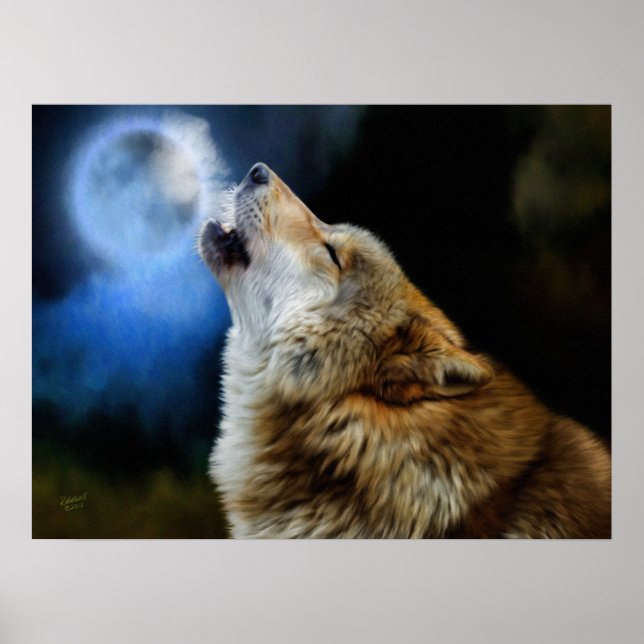 Varg Howling under Full Moon Poster (Framsidan)