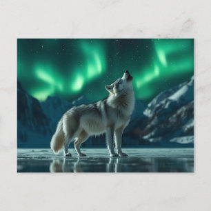 Varg Howling under norra Ljus Vykort