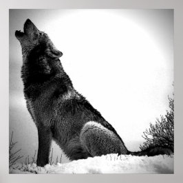 Varg Howling vid Måne Poster Skriv ut - Varg Poste