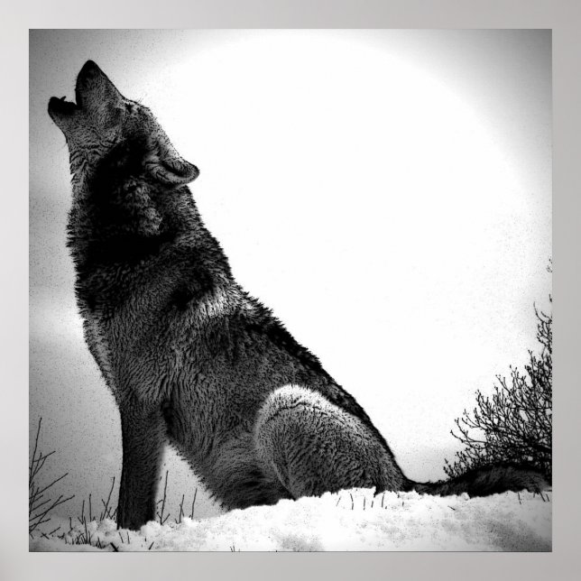 Varg Howling vid Måne Poster Skriv ut - Varg Poste (Framsidan)
