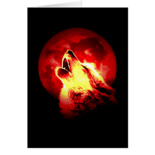 Varg Howling vid Red Night Hälsningskort