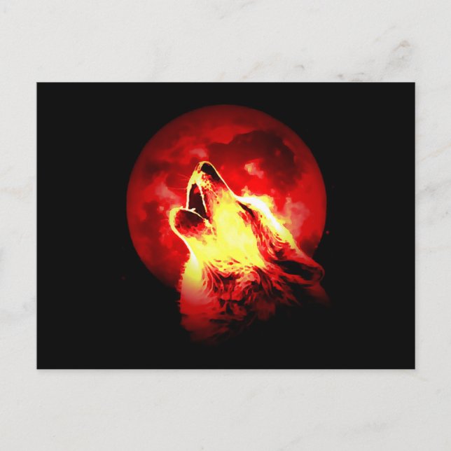 Varg Howling vid Red Night Vykort (Framsida)