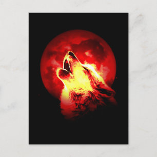 Varg Howling vid Red Night Vykort