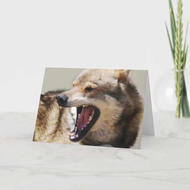 Varg huggtänder helgkort (Framsida)