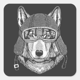 Varg Hund Motorcykelförare Fyrkantigt Klistermärke