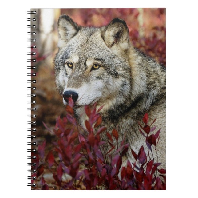Varg i Fall Foliage Anteckningsbok (Framsidan)