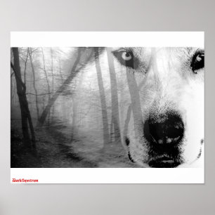 Varg i Forest Poster DarkSpectrum original