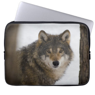 Varg i Skogen Electronics Bag Laptop Fodral