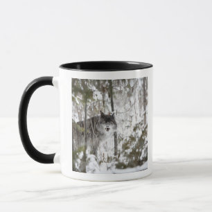 Varg i skogen i vinter mugg