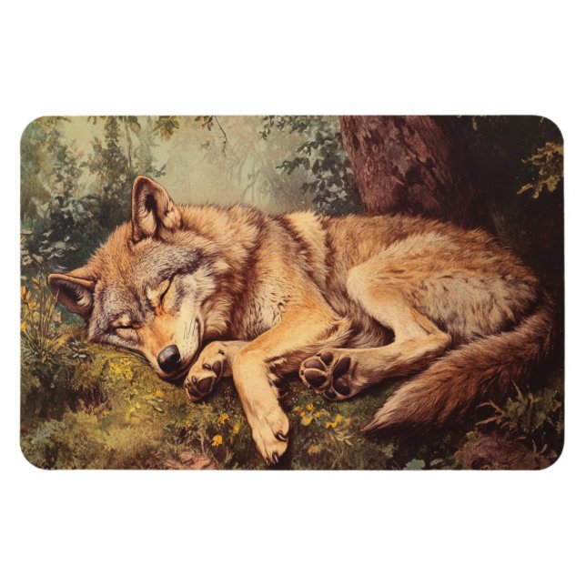 Varg i skogen magnet (Horisontell)