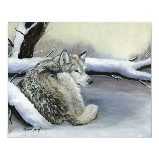 Varg i Snö Art Photo Print Fototryck (Framsidan)