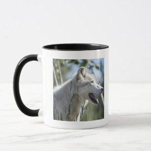 Varg i Yellowstone 2 Mugg