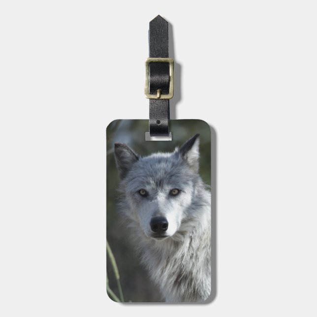Varg i Yellowstone Bagagebricka (Vertikal Framsida)