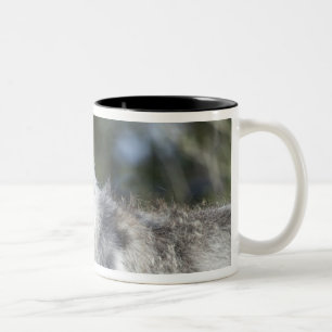 Varg i Yellowstone Två-Tonad Mugg