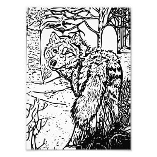 Varg konst fototryck