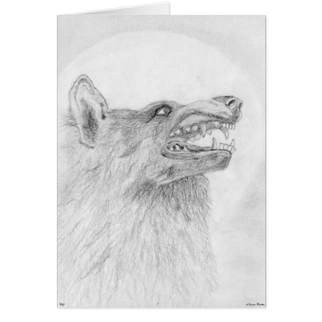 Varg-kort Hälsningskort (Framsidan)