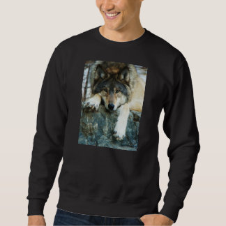 Varg Långärmad Tröja