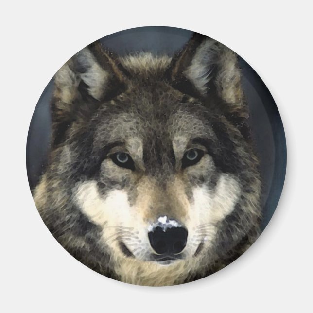 Varg Magnet (Framsidan)