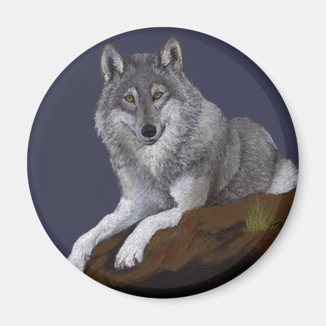 Varg Magnet (Framsidan)