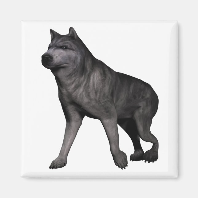 Varg Magnet (Framsidan)