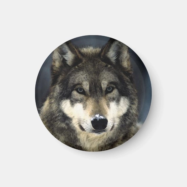 Varg Magnet (Framsidan)