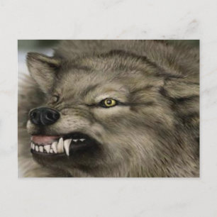 varg med tänderna ut vykort