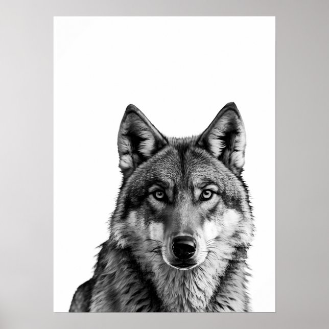 Varg Modern Porträtt svartvit Poster (Framsidan)