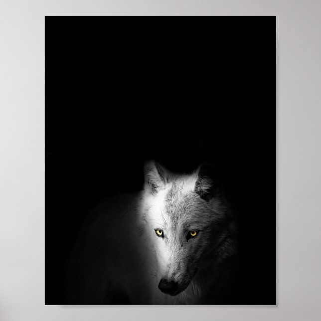 Varg, modern, svart och vit fotografi, poster (Framsidan)