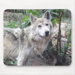 Varg Mousepad Musmatta