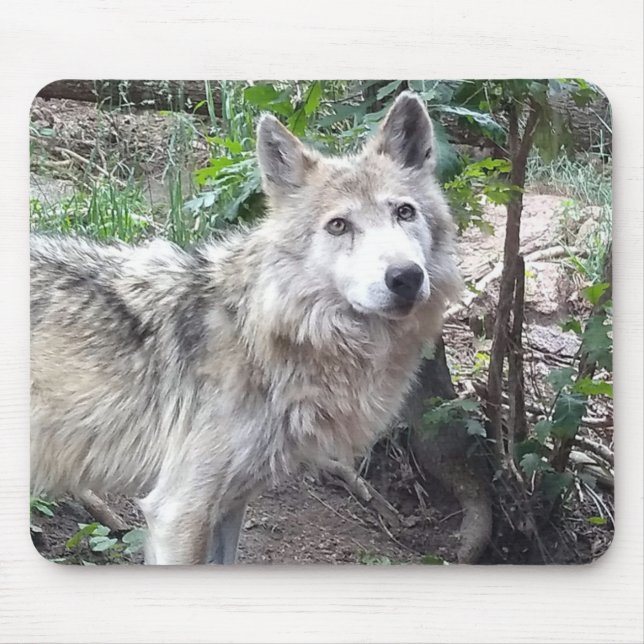 Varg Mousepad Musmatta (Framsidan)